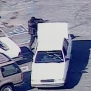 Meet your Posher, Roy